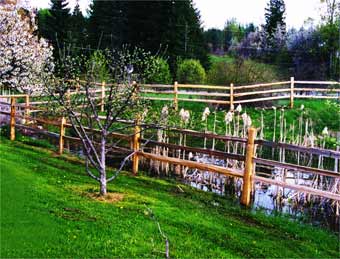 3 Rail Cedar Split Rail Fencing