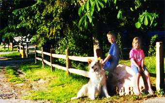 Western Red Cedar Split Post & Rail Fence