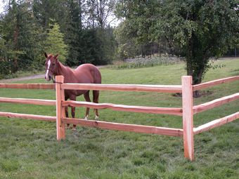 3 Rail Cedar Split Rail Fencing