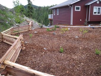 3 Rail Cedar Split Rail Fencing